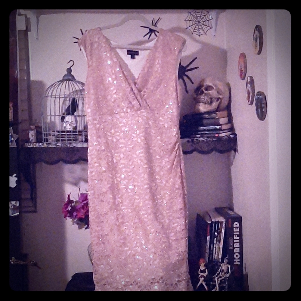 Lace sequin dress
